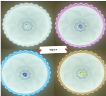 031