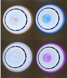 101
