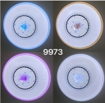 017